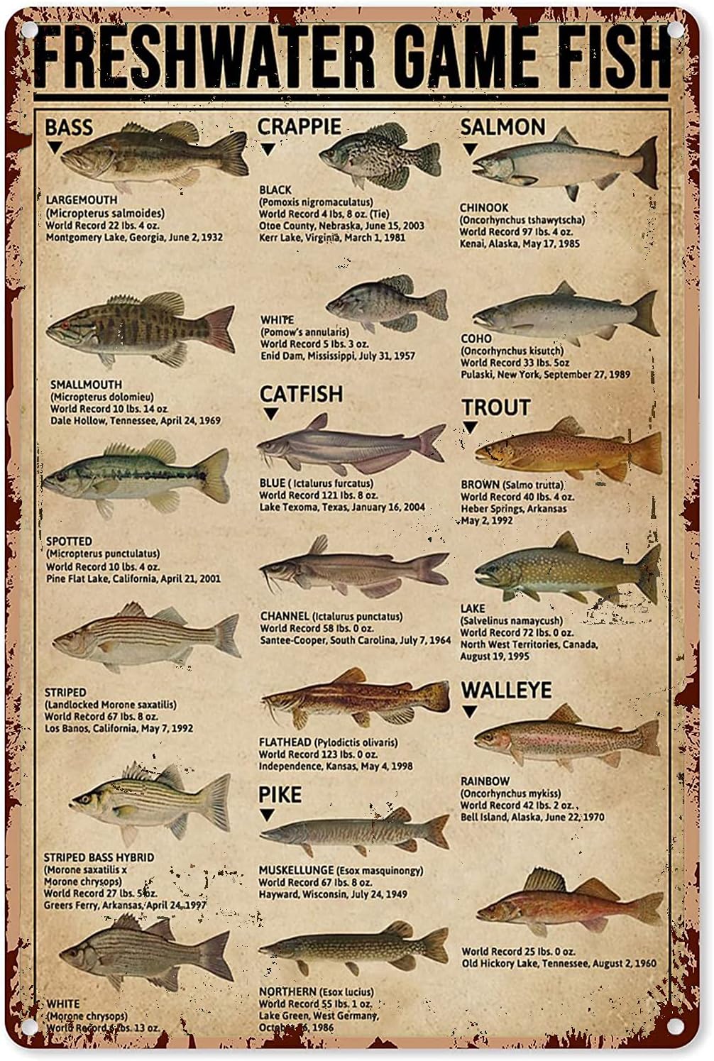 Home Improvement Game - Y1, Poster Seni Memancing, Tanda Logam,